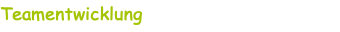 Teamentwicklung