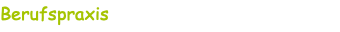 Berufspraxis