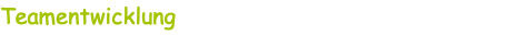 Teamentwicklung