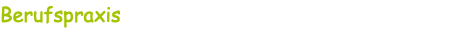 Berufspraxis